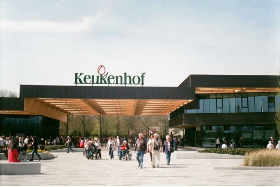 Amsterdam to Keukenhof Gardens Private Daytrip